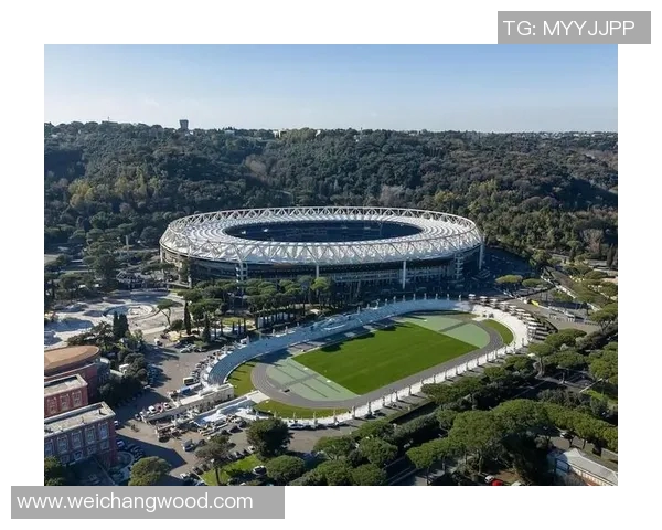 大空翼传奇重现绿茵场 足球梦想与拼搏精神的永恒象征