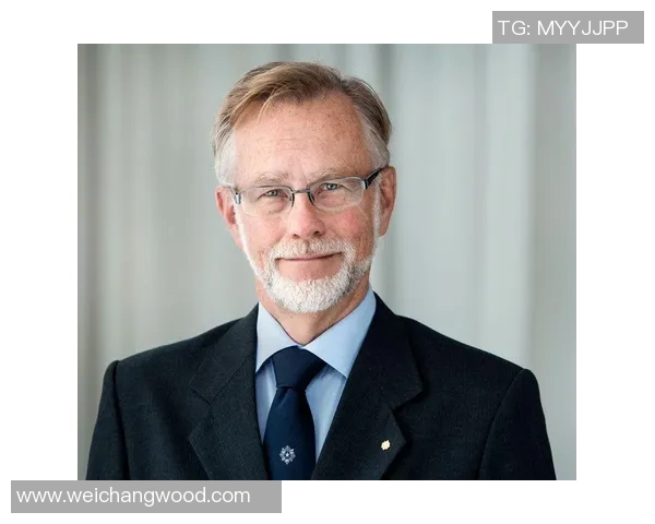 瑞典足球新星汉森:崛起中的天才前锋与未来之星 瑞典足球新星汉森:崛起中的天才前锋与未来之星