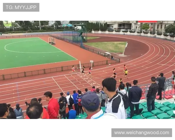 南京篮球队灵活性探讨：如何在竞争中保持优势与创新能力