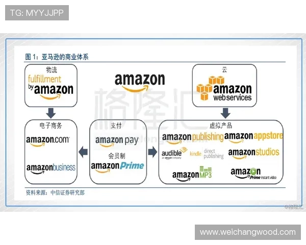 成都排球队的运营模式与发展策略深度解析 成都排球队的运营模式与发展策略深度解析