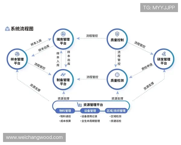 杭州乒乓球队区域防守革新之路探索与实践分析