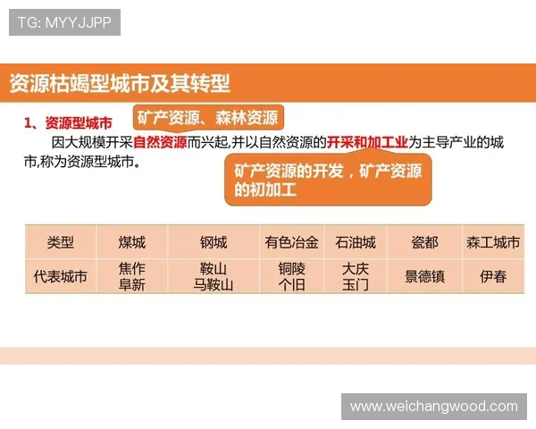 杭州排球队的转型之路:从传统强队到现代化竞技的新篇章 杭州排球队的转型之路:从传统强队到现代化竞技的新篇章