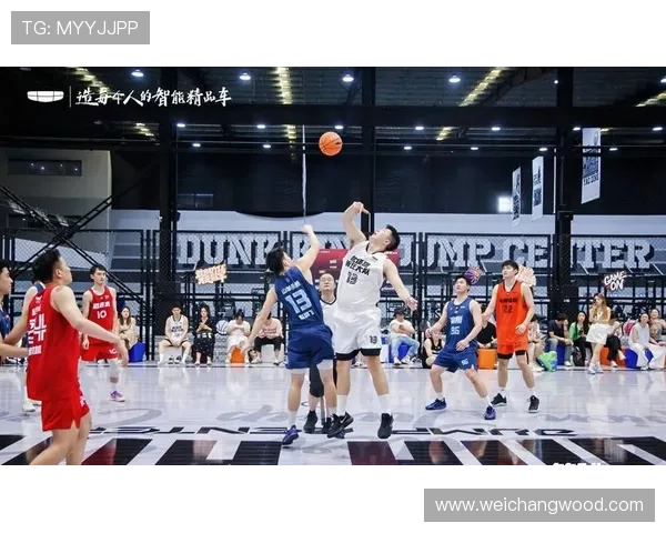 杭州篮球队状态飙升创历史新高引发球迷热议与期待