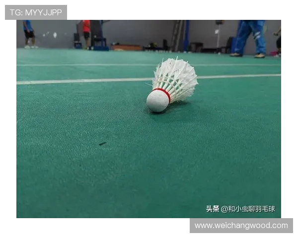 羽毛球新手必看：从基础力量训练到技巧提升的全面指南