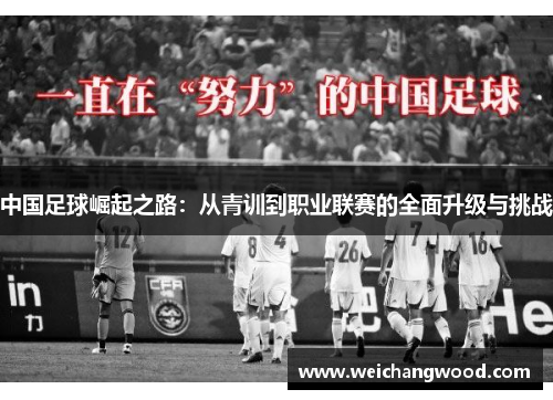 中国足球崛起之路：从青训到职业联赛的全面升级与挑战