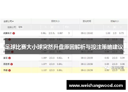 足球比赛大小球突然升盘原因解析与投注策略建议