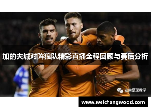 加的夫城对阵狼队精彩直播全程回顾与赛后分析